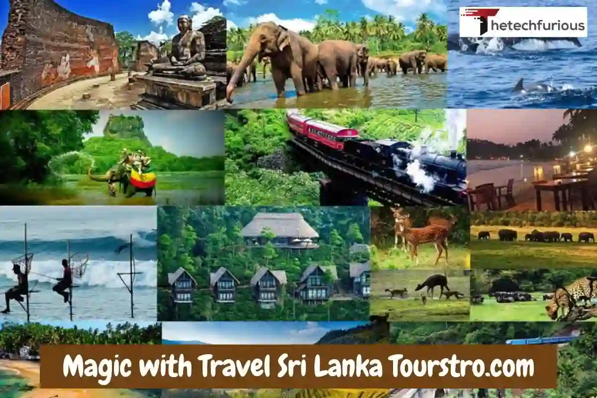 Discover Magic with Travel Sri Lanka Tourstro.com