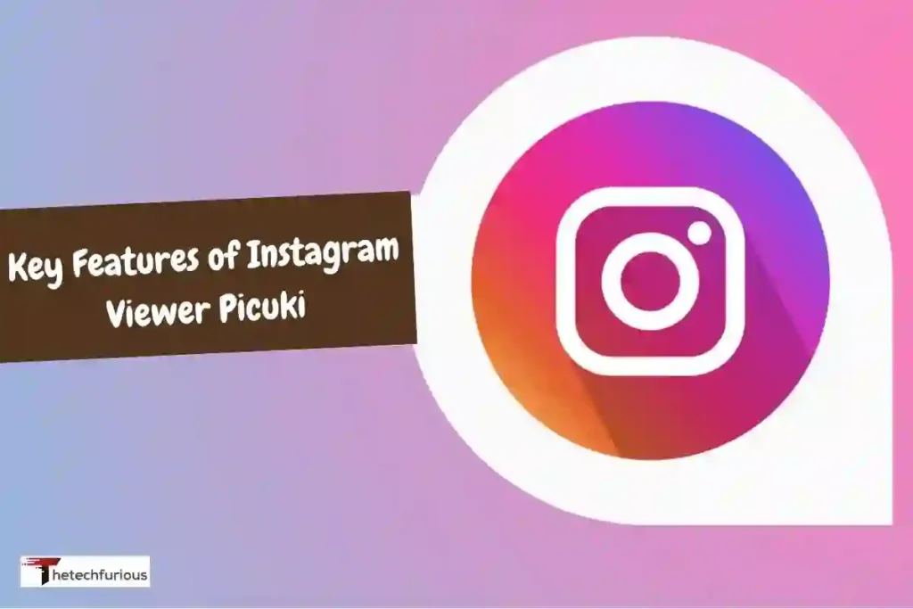 Key Features of Instagram Viewer Picuki