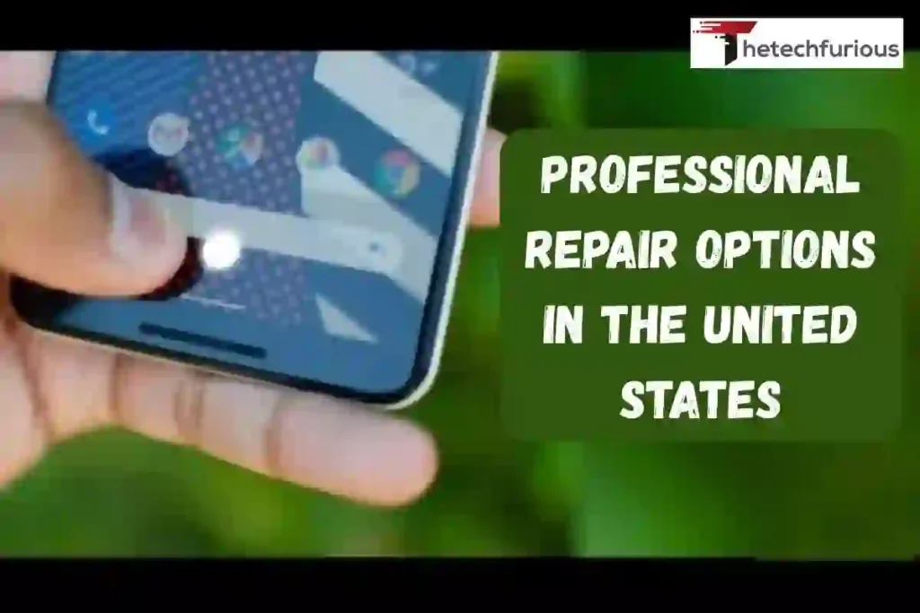 Professional Repair Options in the United States