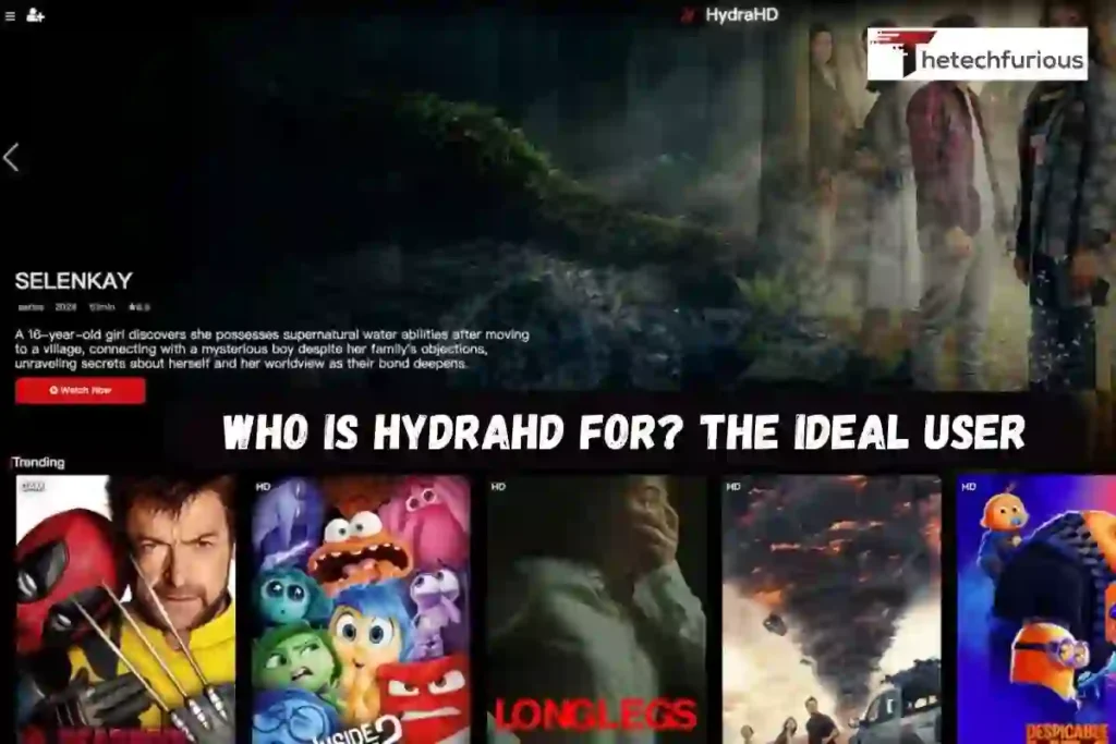 Who is HydraHD For? The Ideal User